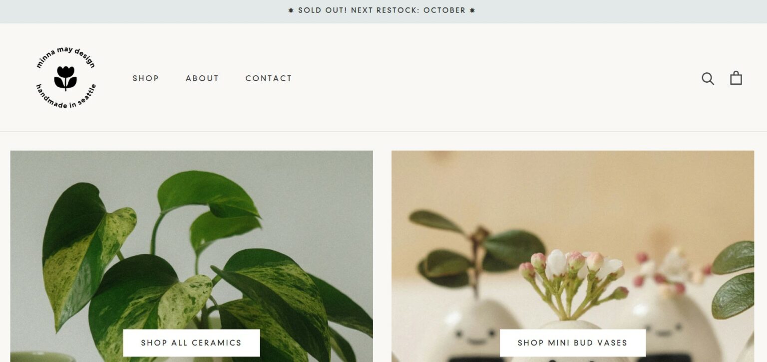 10 Best Ecommerce Website Design Examples in 2026
